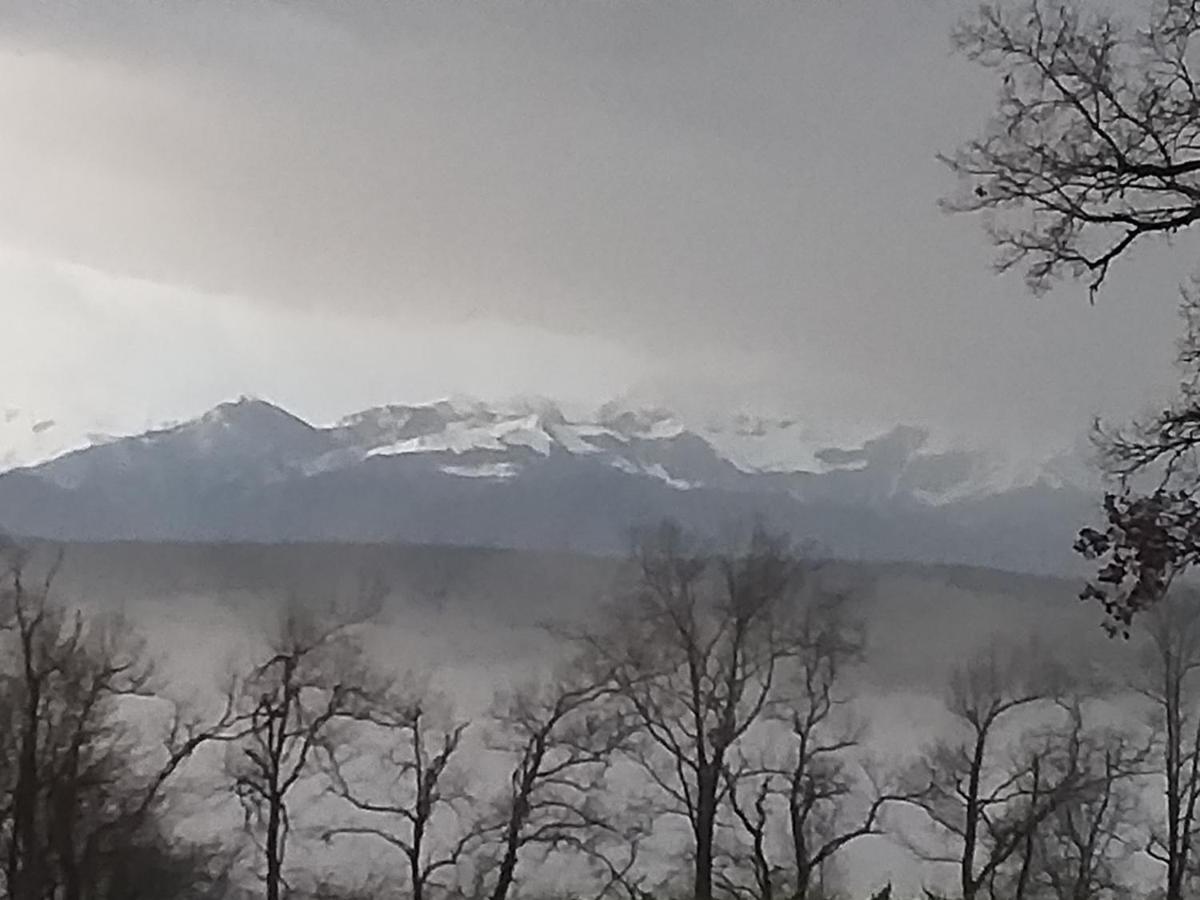 Lourdes Pyrenees Daire Dış mekan fotoğraf